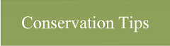Conservation Tips