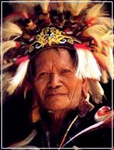 The Dayak Warrior