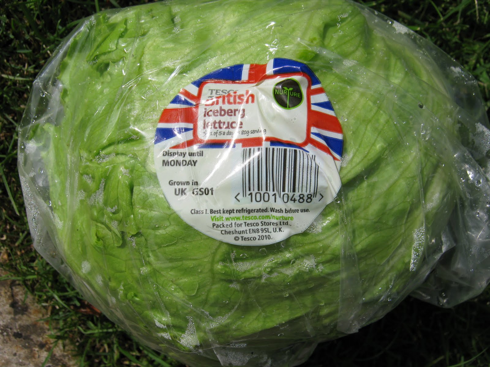 Lord Belmont in Northern Ireland The British Lettuce