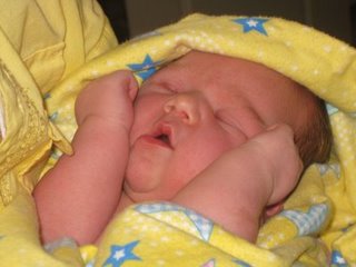 [IMG_0842.JPG]