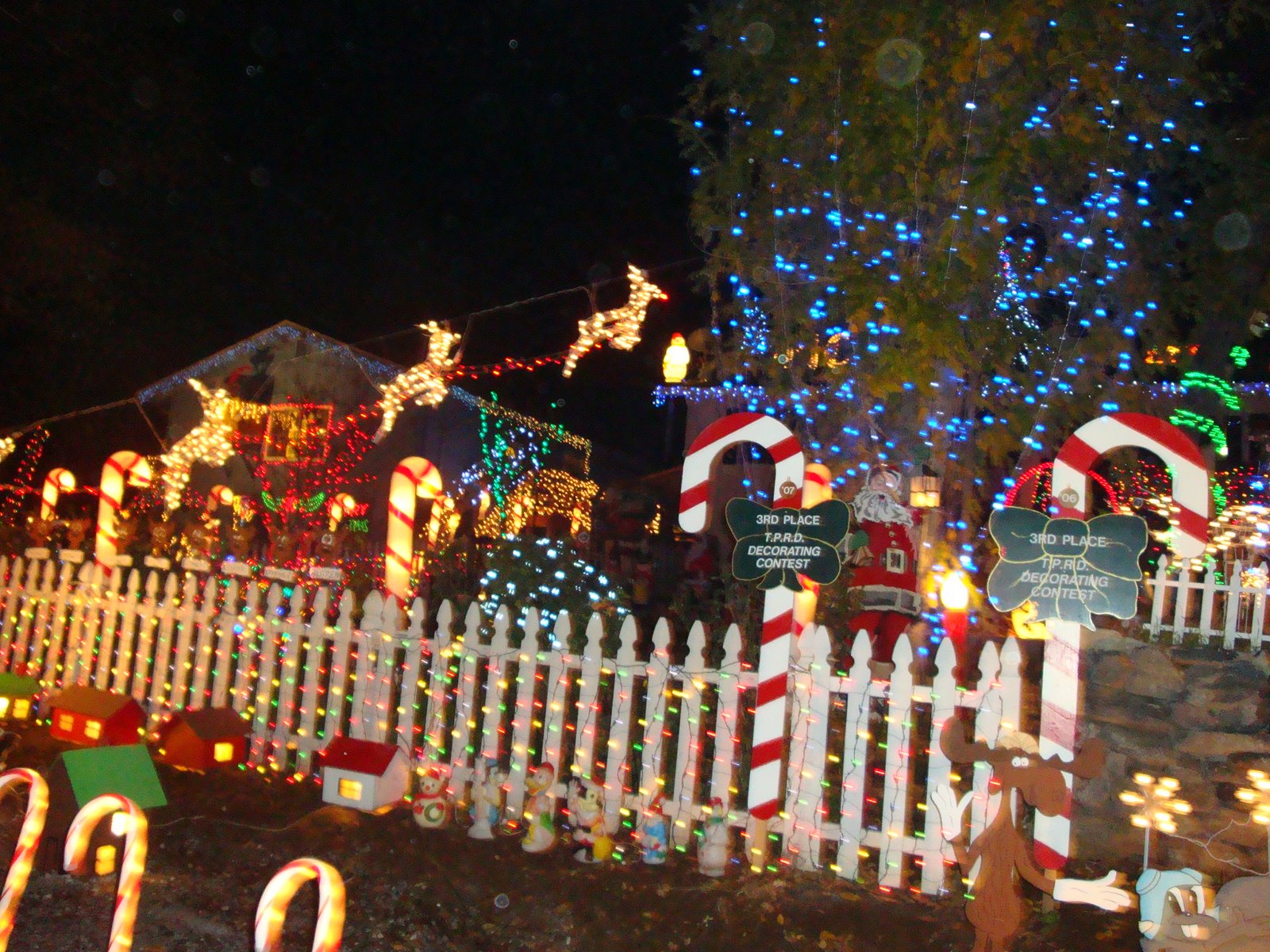 [DSC00164.JPG]