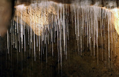 Waitomo caves