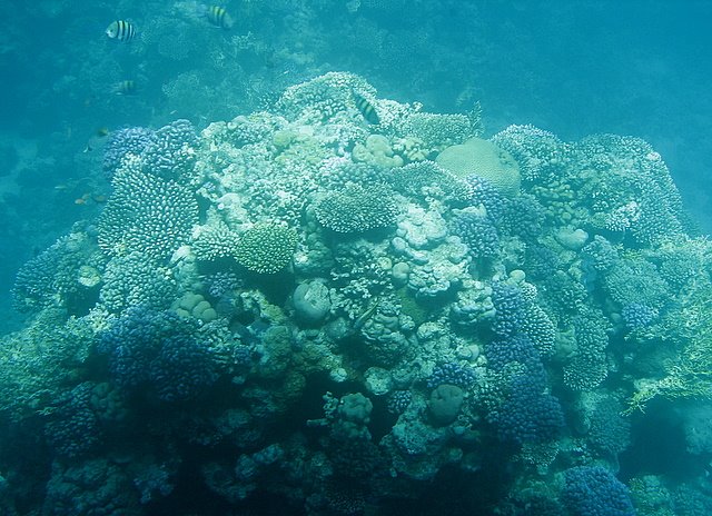 [IMG_7948.JPG]