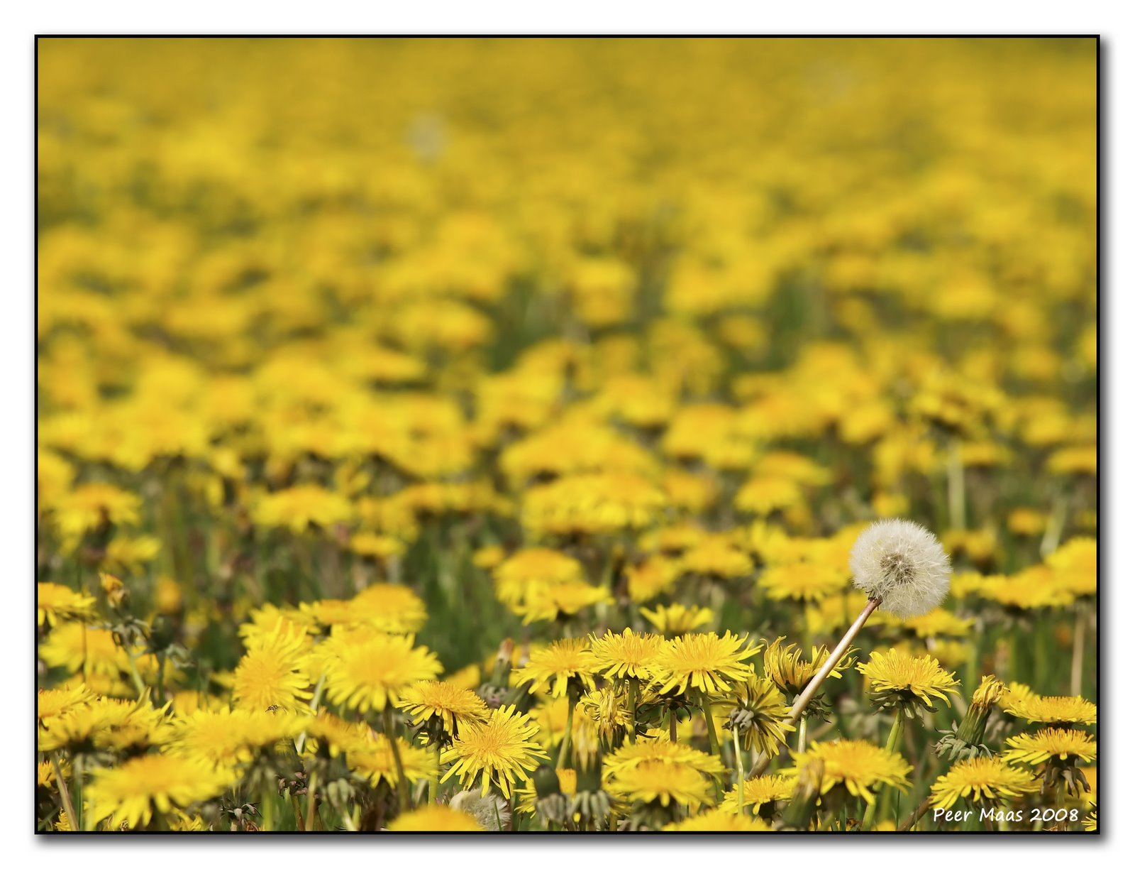 [lente-012.jpg]