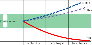 Diagnostic de laboratoire : hyperthyroïdie, © 2007 Matter Lukas, PD Dr méd.; Burki Dieter, Dr méd.; Rossier Michelle, Dr méd.