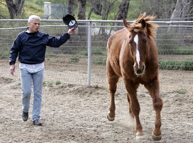 [Blake+spends+his+days+exercising+horses2.jpg]