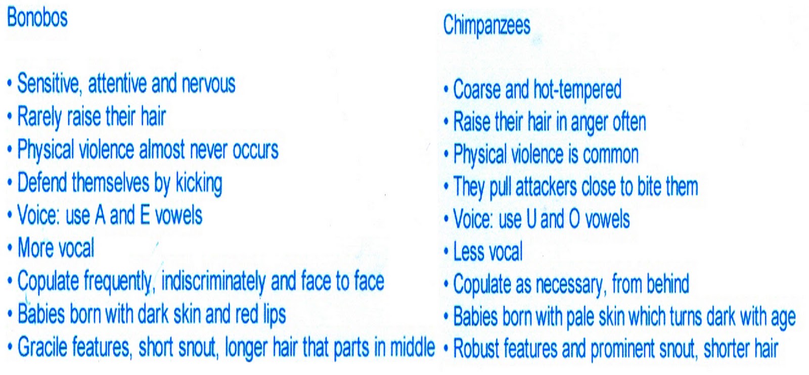 Life...The Vivere APE HOUSE, a new book by Sara Gruen