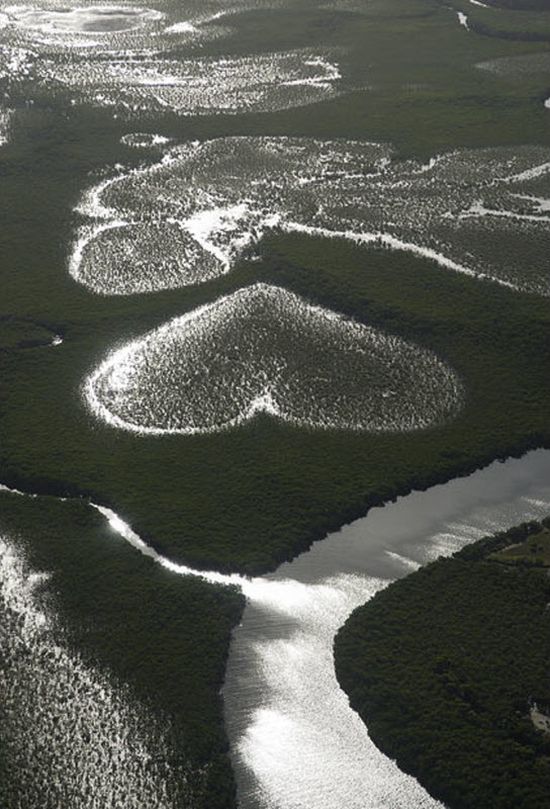 [hearts_in_nature_06.jpg]