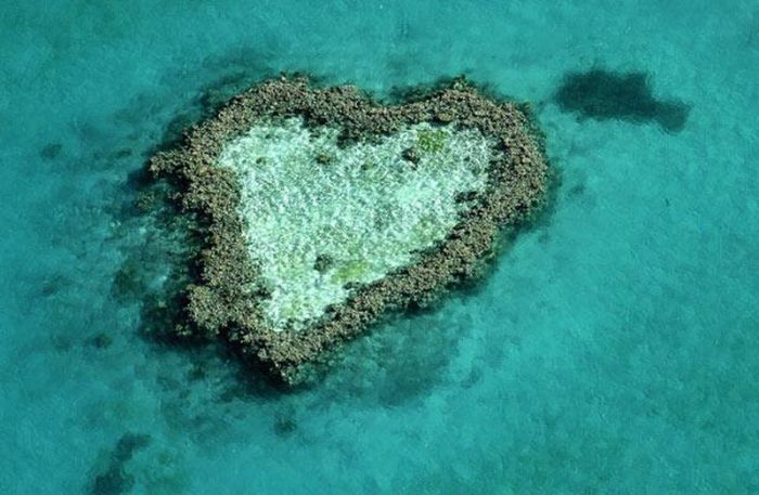 [hearts_in_nature_02.jpg]