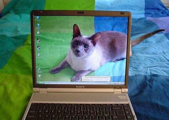 [real_or_fake_05.jpg]
