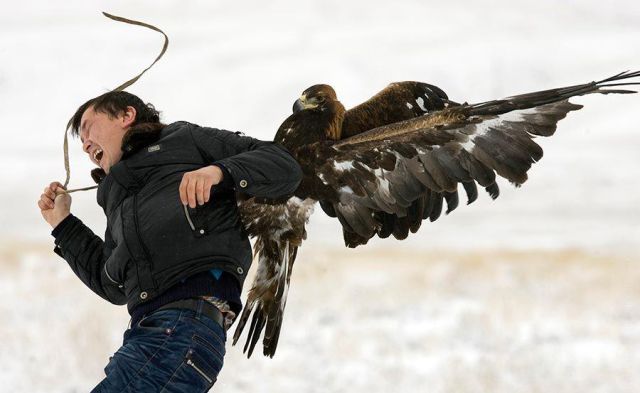 [bothersome_birds_32.jpg]