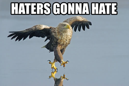 Haters_Gonna_Hate_03.jpg?iact=hc&vpx=347