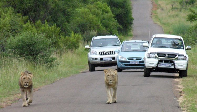 [only_in_africa_29.jpg]