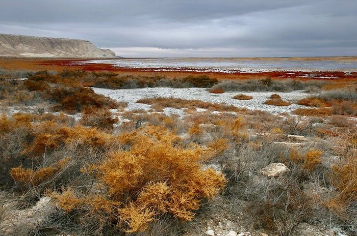 [aral_sea_04.jpg]