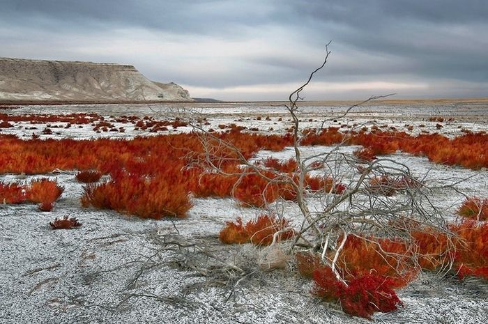 [aral_sea_02.jpg]