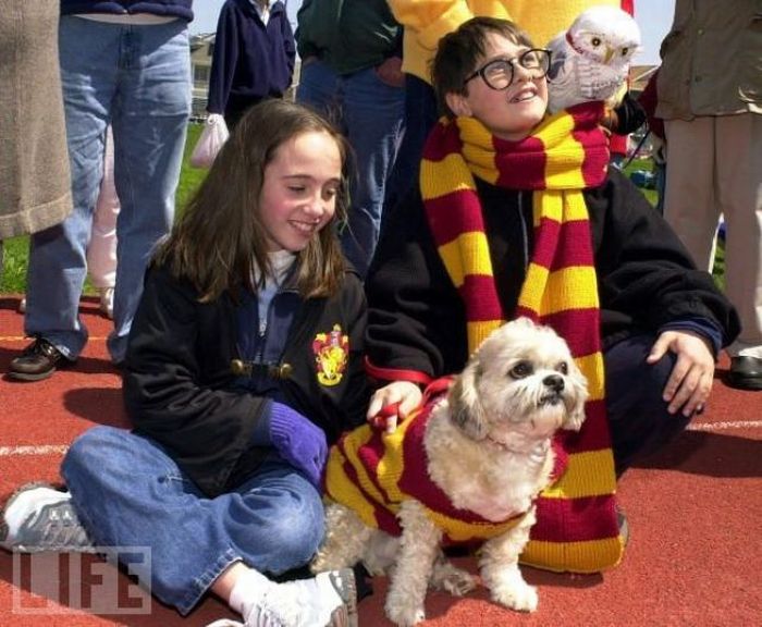 harry_potter_pets_01.jpg
