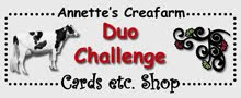 Duo challenge blog