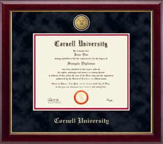 Custom College Degree and Transcripts