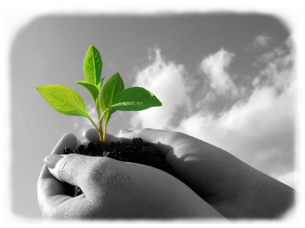 Crecer significa cambiar, y cambiar implica riesgos... pasar de lo conocido, a lo desconocido...