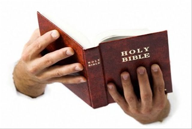 [Biblia+en+las+manos.jpg]