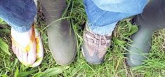 Nos pieds dans l'herbe