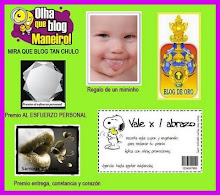 Premio que me entrega Susana del blog http://elbaulencantado.blogspot.com/