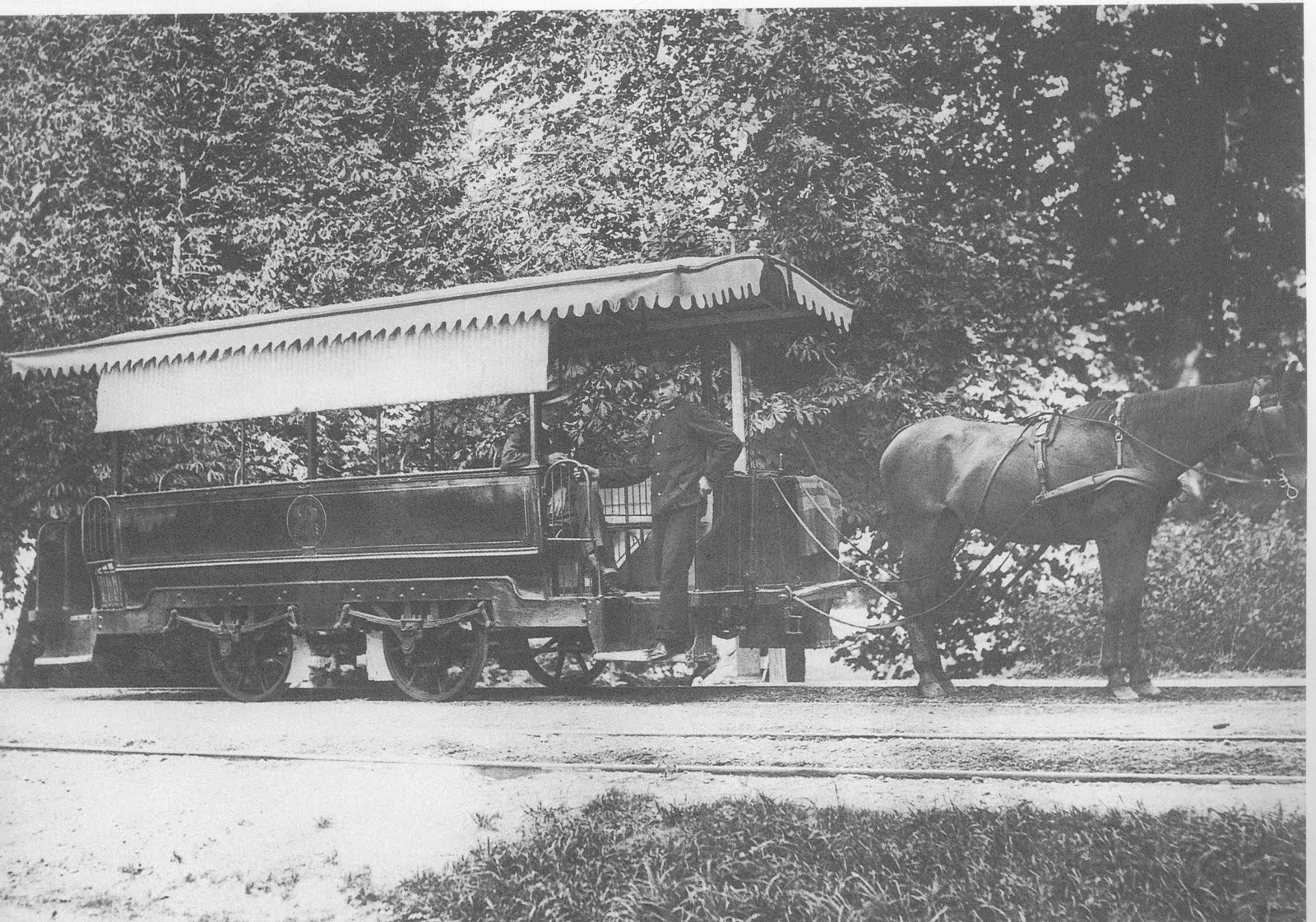 [margitsziget16.jpg]