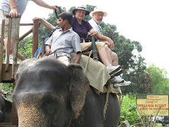 elephant "joy ride"