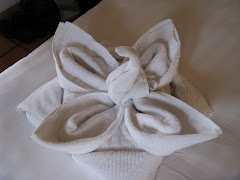 towel art