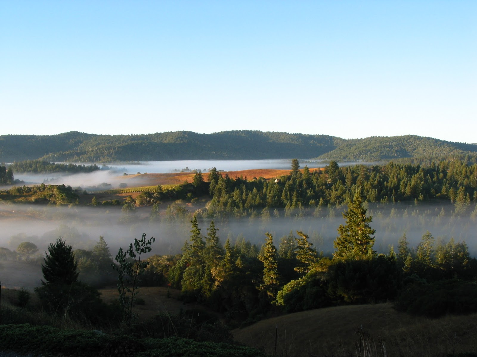 My Favorite Things Anderson Valley