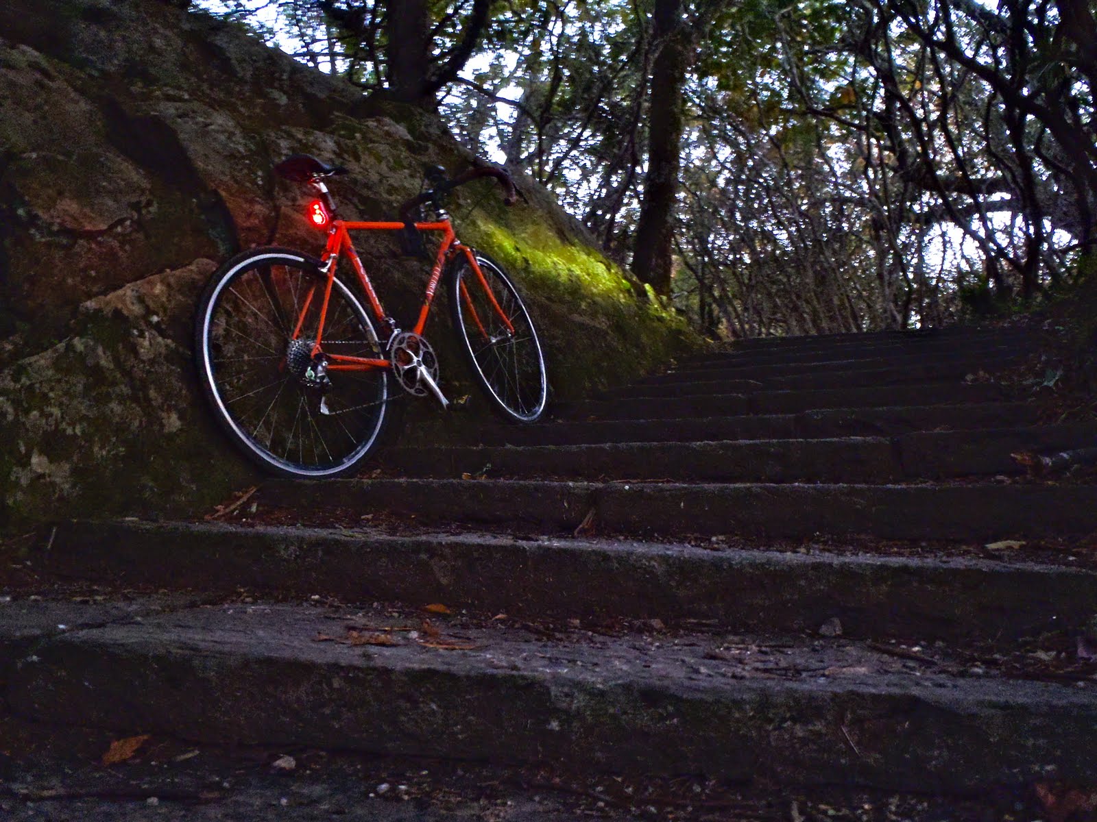 Eric s ride log legs like salt cured hams