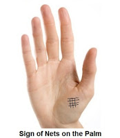 Sign of Net on Hand - Palmistry Reading 