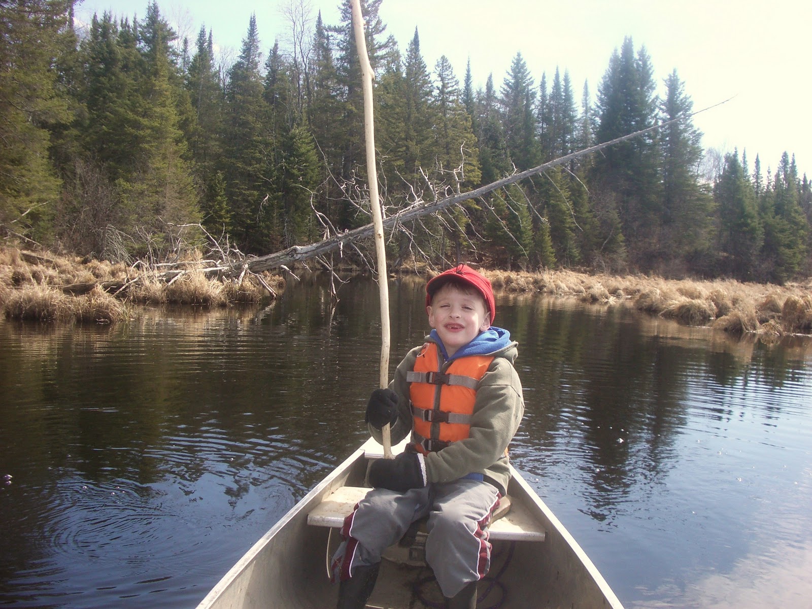 Wild Wisconsin Spring Beaver Trapping the 9 Mile( restoration project