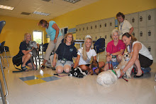 Pet-Partner volunteer teams