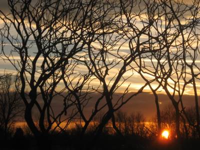 [sunset+through+trees+small.jpg]