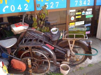 [bike+planter+better+small.jpg]