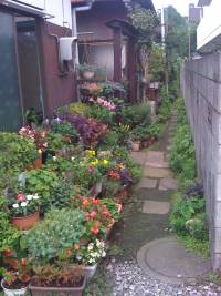 [small+house+garden+small]