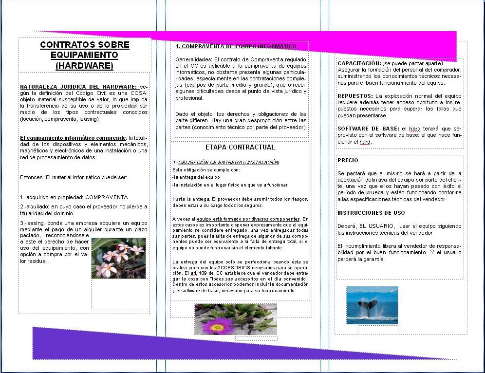 FOLLETO CONTRATOS INFORMATICOS 2