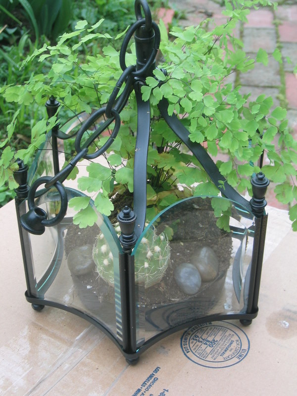 http://4.bp.blogspot.com/_mynfaCKHDB8/TCoSecVuqGI/AAAAAAAABFg/dG0ilvahSlw/s1600/Jodie%27s+wedding+025.JPG