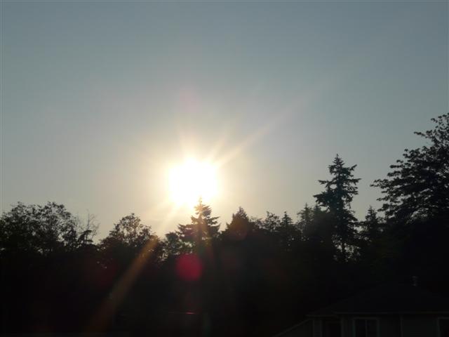 [Sun+002+(Small).jpg]