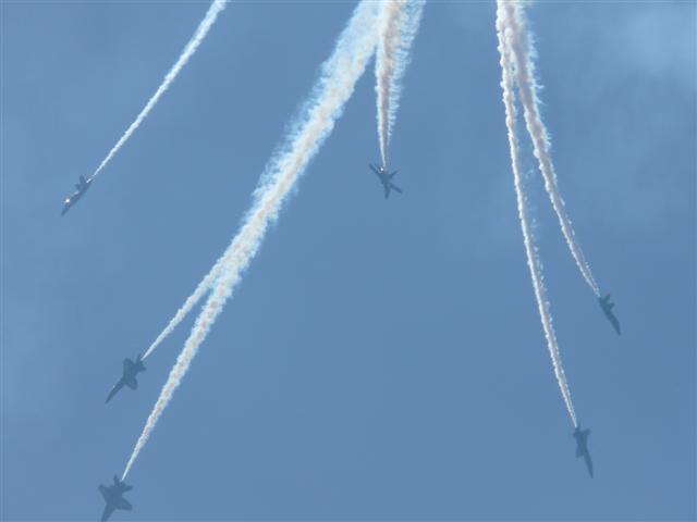 [Blue+Angels+235+(Small).jpg]