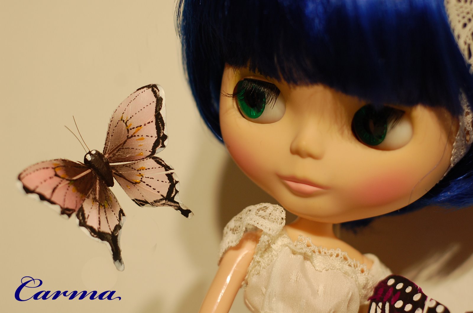 [DSC_0884.jpg]