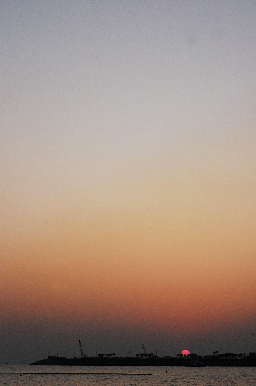 [DSC_0429.JPG]