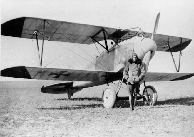 Albatros D III