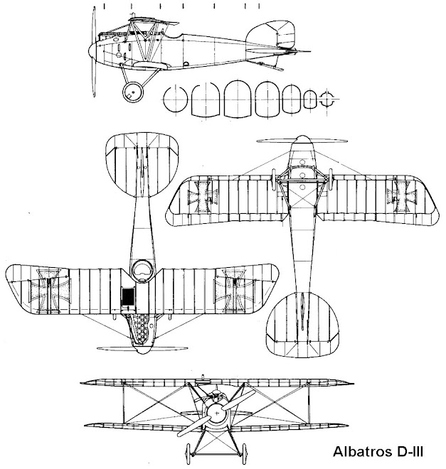 Albatros D III