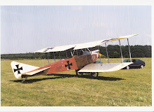 Albatros B I