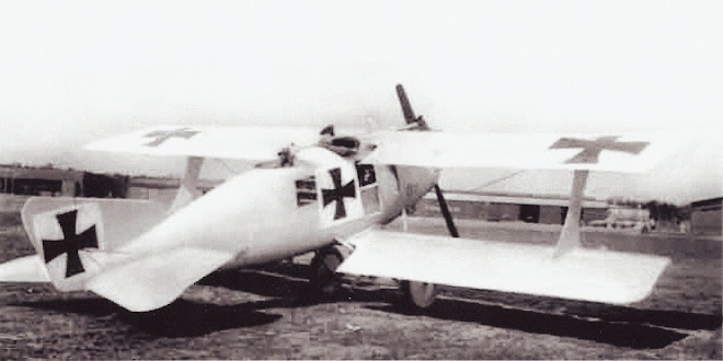 Roland C.II Walfisch