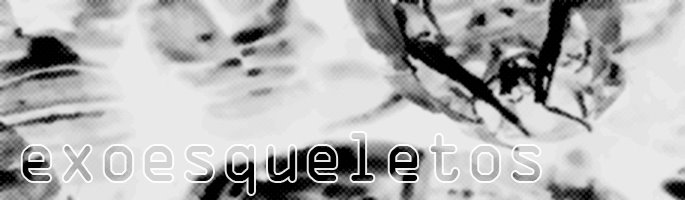 Exoesqueletos