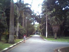 Jardim Botanico da Cidade de Santos