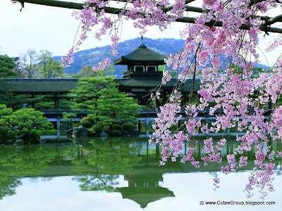A Tour to Tokyo (Japan)